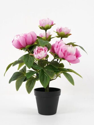 Artificial Flower 42*24*46cm peony in pp pot GS-06021018 Potted Flowers&Plants 3,000+ sqm showroom with thousands of artificial flowers, plants & trees ready for global sourcing.
