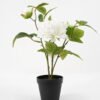 Artificial Flower 42*24*46cm peony in pp pot GS-06021018 Potted Flowers&Plants YeahFlower is one of Chinese leading OEM manufacturers and exporters , supplying the silk flowers, wholesale artificial trees