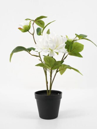 Artificial Flower 40*30*58cm peony in pp pot GS-06021019 Potted Flowers&Plants 3,000+ sqm showroom with thousands of artificial flowers, plants & trees ready for global sourcing.