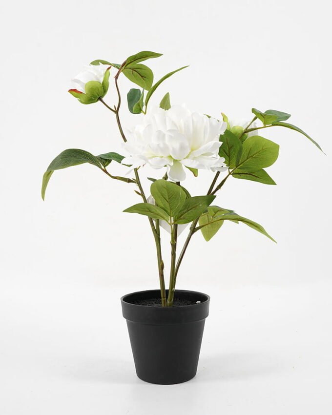 Artificial Flower 42*24*46cm peony in pp pot GS-06021018 Potted Flowers&Plants YeahFlower is one of Chinese leading OEM manufacturers and exporters , supplying the silk flowers, wholesale artificial trees