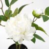 Artificial Flower 42*24*46cm peony in pp pot GS-06021018 Potted Flowers&Plants YeahFlower is one of Chinese leading OEM manufacturers and exporters , supplying the silk flowers, wholesale artificial trees