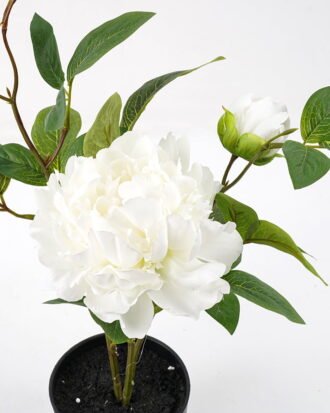 Artificial Flower 42*24*46cm peony in pp pot GS-06021018 Potted Flowers&Plants YeahFlower is one of Chinese leading OEM manufacturers and exporters , supplying the silk flowers, wholesale artificial trees