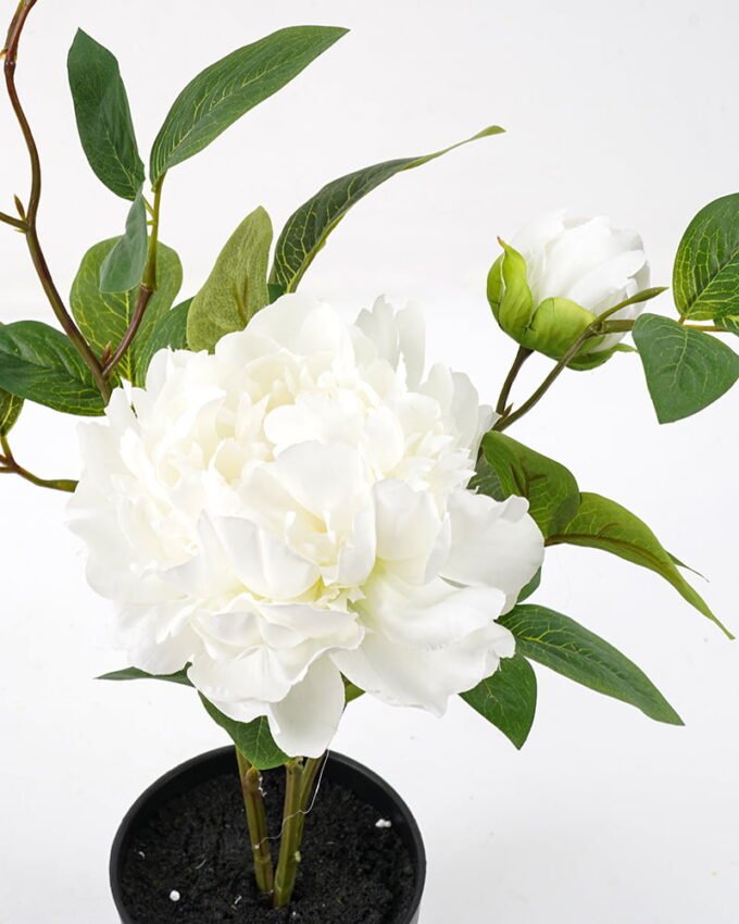 Artificial Flower 42*24*46cm peony in pp pot GS-06021018 Potted Flowers&Plants YeahFlower is one of Chinese leading OEM manufacturers and exporters , supplying the silk flowers, wholesale artificial trees