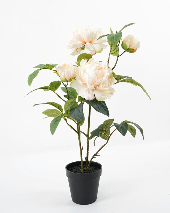 Artificial Flower 40*30*58cm peony in pp pot GS-06021019 Potted Flowers&Plants YeahFlower is one of Chinese leading OEM manufacturers and exporters , supplying the silk flowers, wholesale artificial trees