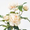 Artificial Flower 40*30*58cm peony in pp pot GS-06021019 Potted Flowers&Plants YeahFlower is one of Chinese leading OEM manufacturers and exporters , supplying the silk flowers, wholesale artificial trees