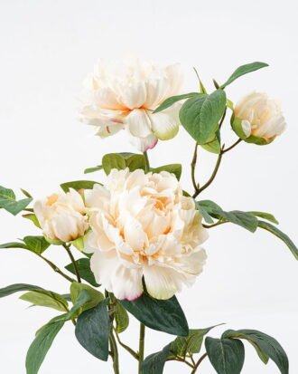 Artificial Flower 40*30*58cm peony in pp pot GS-06021019 Potted Flowers&Plants YeahFlower is one of Chinese leading OEM manufacturers and exporters , supplying the silk flowers, wholesale artificial trees