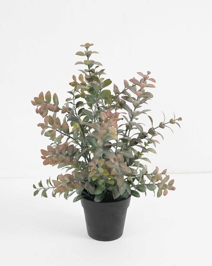 Artificial Grass 28*28*35cm Grass in PP pot GS-03321144 Potted Flowers&Plants YeahFlower is one of Chinese leading OEM manufacturers and exporters , supplying the silk flowers, wholesale artificial trees