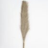 Artificial Grass 14*52cm Reed Single stem GS-45721032 Grass&PLANT YeahFlower is one of Chinese leading OEM manufacturers and exporters , supplying the silk flowers, wholesale artificial trees