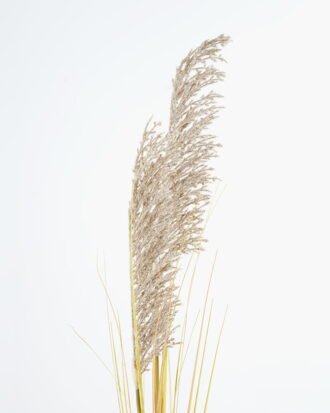 Artificial Grass 26*117cm  Reed  Spray*2 GS-45721027A Grass&PLANT YeahFlower is one of Chinese leading OEM manufacturers and exporters , supplying the silk flowers, wholesale artificial trees