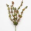 Artificial Plant 12*60 CM Eucalyptus hanging*5 GS-05521059 Banners&Garlands YeahFlower is one of Chinese leading OEM manufacturers and exporters , supplying the silk flowers, wholesale artificial trees