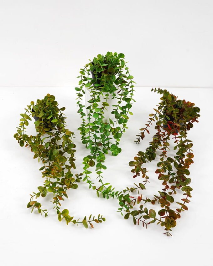 Artificial Plant 15*55 CM Eucalyptus in pp pot GS-05521060 Banners&Garlands YeahFlower is one of Chinese leading OEM manufacturers and exporters , supplying the silk flowers, wholesale artificial trees