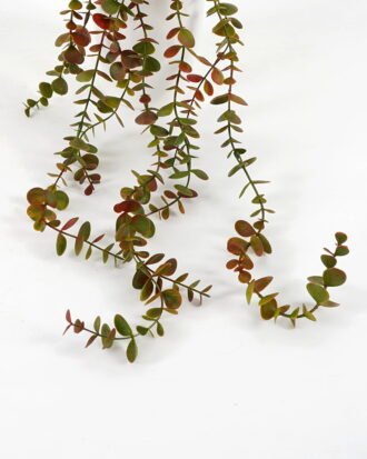 Artificial Plant 15*55 CM Eucalyptus in pp pot GS-05521060 Banners&Garlands YeahFlower is one of Chinese leading OEM manufacturers and exporters , supplying the silk flowers, wholesale artificial trees Artificial Plant 15*55 CM Eucalyptus in pp pot GS-05521060 Banners&Garlands YeahFlower is one of Chinese leading OEM manufacturers and exporters , supplying the silk flowers, wholesale artificial trees