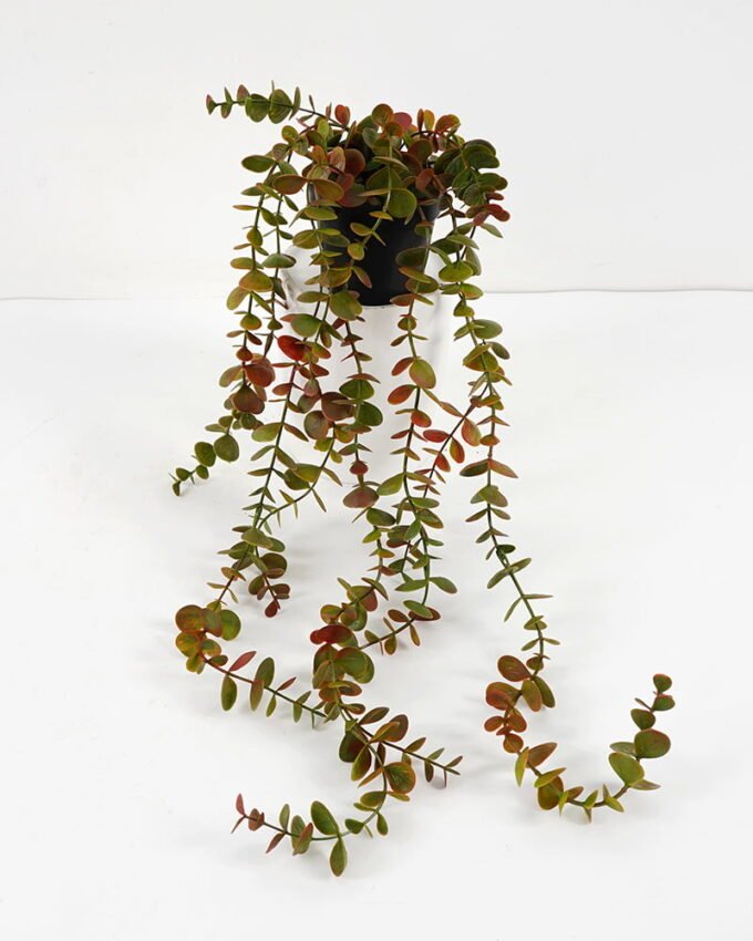 Artificial Plant 15*55 CM Eucalyptus in pp pot GS-05521060 Banners&Garlands YeahFlower is one of Chinese leading OEM manufacturers and exporters , supplying the silk flowers, wholesale artificial trees