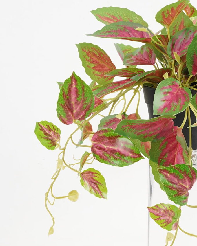 Artificial Plant 25 25 Perilla leaves in PP pot GS-03321151_4 Artificial Plant 25*25*Perilla leaves in PP pot GS-03321151 Potted Flowers&Plants YeahFlower is one of Chinese leading OEM manufacturers and exporters , supplying the silk flowers, wholesale artificial trees