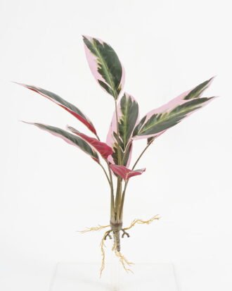 Artificial Plant 35*35*H:50CM Dieffenbachia GS-65321004 Leaves&Sprays&Foliages YeahFlower is one of Chinese leading OEM manufacturers and exporters , supplying the silk flowers, wholesale artificial trees