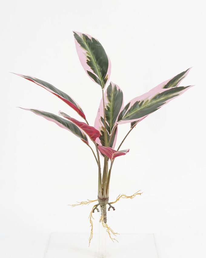 Artificial Plant 35*35*H:50CM Dieffenbachia GS-65321004 Leaves&Sprays&Foliages YeahFlower is one of Chinese leading OEM manufacturers and exporters , supplying the silk flowers, wholesale artificial trees