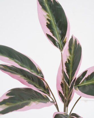 Artificial Plant 35*35*H:50CM Dieffenbachia GS-65321004 Leaves&Sprays&Foliages YeahFlower is one of Chinese leading OEM manufacturers and exporters , supplying the silk flowers, wholesale artificial trees