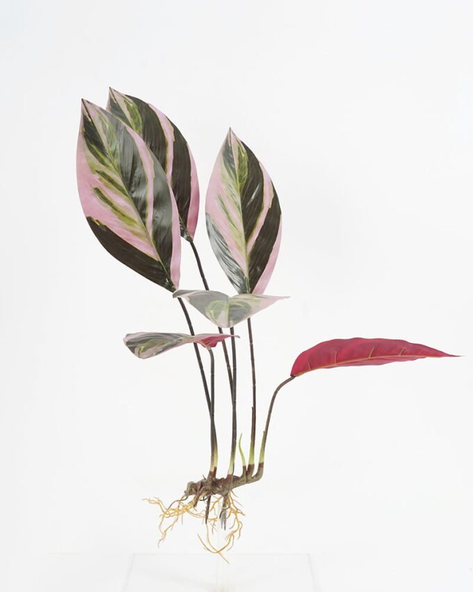 Artificial Plant 45*45*H:64CM Dieffenbachia GS-65321005 Leaves&Sprays&Foliages YeahFlower is one of Chinese leading OEM manufacturers and exporters , supplying the silk flowers, wholesale artificial trees