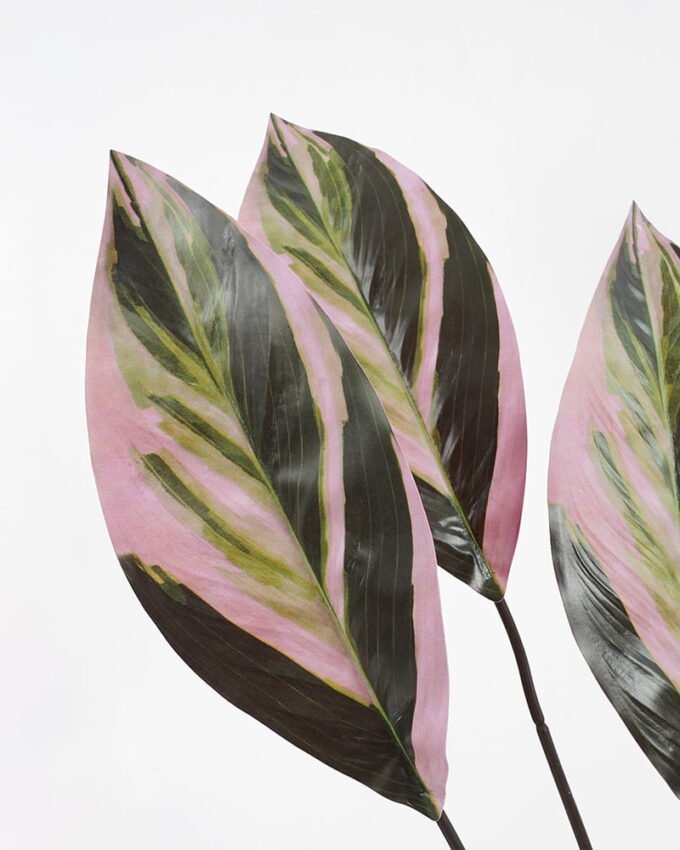 Artificial Plant 45*45*H:64CM Dieffenbachia GS-65321005 Leaves&Sprays&Foliages YeahFlower is one of Chinese leading OEM manufacturers and exporters , supplying the silk flowers, wholesale artificial trees