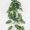 Artificial Plant 50*35*H:35CM Taro leaf /lvs29 GS-65321003 Leaves&Sprays&Foliages YeahFlower is one of Chinese leading OEM manufacturers and exporters , supplying the silk flowers, wholesale artificial trees