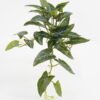Artificial Plant 80*50*H:35CM Monstera /lvs54 GS-65321002 Leaves&Sprays&Foliages YeahFlower is one of Chinese leading OEM manufacturers and exporters , supplying the silk flowers, wholesale artificial trees