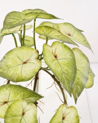 Artificial Plant 50*25*27CM BIG Taro leaf GS-52321008 Leaves&Sprays&Foliages YeahFlower is one of Chinese leading OEM manufacturers and exporters , supplying the silk flowers, wholesale artificial trees