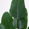 Artificial Plant 55*55*65CM Banana leaves bush*12 GS-52321014 Leaves&Sprays&Foliages YeahFlower is one of Chinese leading OEM manufacturers and exporters , supplying the silk flowers, wholesale artificial trees