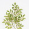 Artificial Plant Bean flower leaves GS-26221077-G2 Leaves&Sprays&Foliages YeahFlower is one of Chinese leading OEM manufacturers and exporters , supplying the silk flowers, wholesale artificial trees