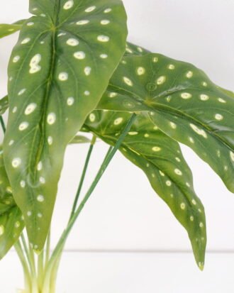 Artificial Plant 16*73CM Begonia Leaves GS-00121010 Potted Flowers&Plants YeahFlower is one of Chinese leading OEM manufacturers and exporters , supplying the silk flowers, wholesale artificial trees