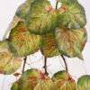 Artificial Plant 50*25*27CM Big Begonia Leaves GS-52321007 Leaves&Sprays&Foliages YeahFlower is one of Chinese leading OEM manufacturers and exporters , supplying the silk flowers, wholesale artificial trees