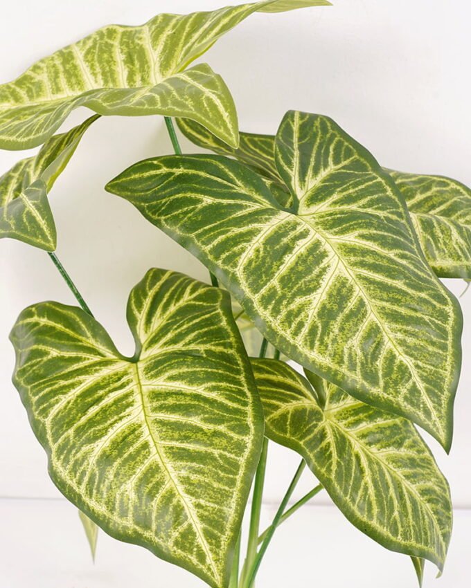 Artificial Plant 30*20*38CM Calla lily leaf GS-00121007 Potted Flowers&Plants YeahFlower is one of Chinese leading OEM manufacturers and exporters , supplying the silk flowers, wholesale artificial trees