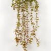 Artificial Plant 25*100CM Eucalyptus hanging GS-05521066 Leaves&Sprays&Foliages YeahFlower is one of Chinese leading OEM manufacturers and exporters , supplying the silk flowers, wholesale artificial trees