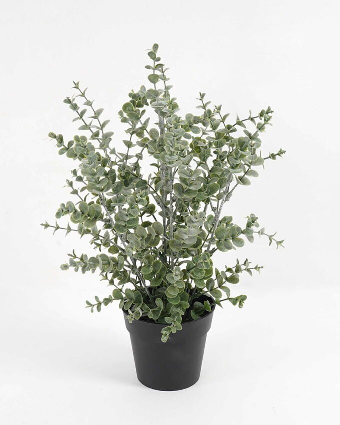 Artificial Plant 26*26*36cm Eucalyptus in PP pot GS-03321147 Potted Flowers&Plants YeahFlower is one of Chinese leading OEM manufacturers and exporters , supplying the silk flowers, wholesale artificial trees
