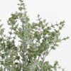 Artificial Plant 26*26*36cm Eucalyptus in PP pot GS-03321147 Potted Flowers&Plants YeahFlower is one of Chinese leading OEM manufacturers and exporters , supplying the silk flowers, wholesale artificial trees
