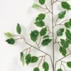 Artificial Plant 45*62cm Ficus leaves Spray*3 GS-65421001 Leaves&Sprays&Foliages YeahFlower is one of Chinese leading OEM manufacturers and exporters , supplying the silk flowers, wholesale artificial trees