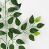 Artificial Plant 45*62cm Ficus leaves Spray*3 GS-65421003 Leaves&Sprays&Foliages YeahFlower is one of Chinese leading OEM manufacturers and exporters , supplying the silk flowers, wholesale artificial trees