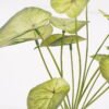 Artificial Plant 20*15*28CM G Taro leaf bush*12 GS-52321013 Leaves&Sprays&Foliages YeahFlower is one of Chinese leading OEM manufacturers and exporters , supplying the silk flowers, wholesale artificial trees