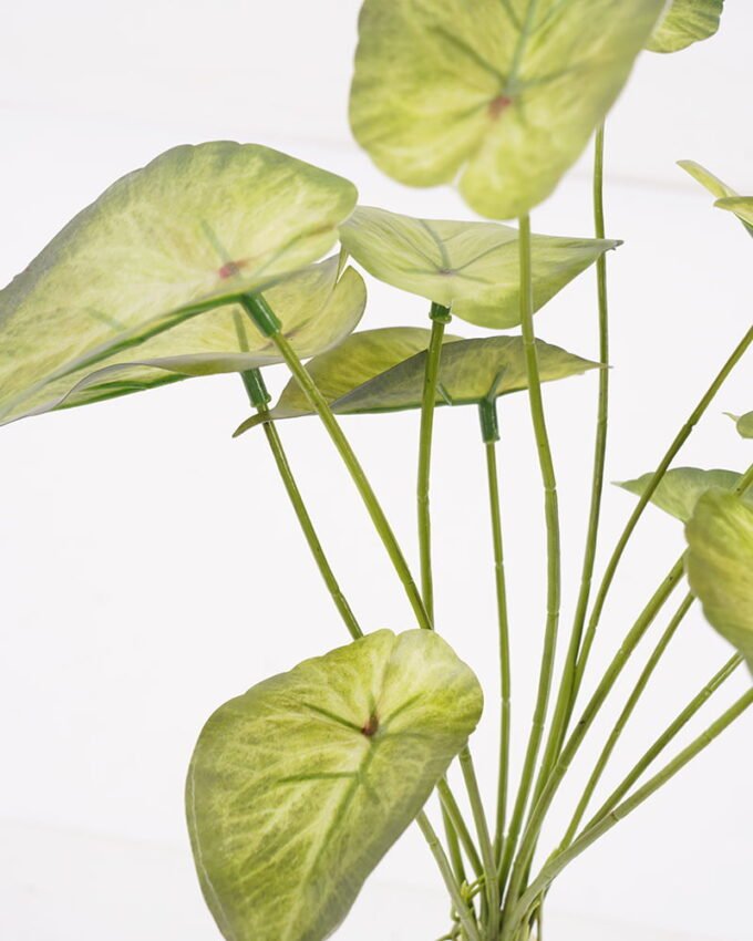 Artificial Plant 20*15*28CM G Taro leaf bush*12 GS-52321013 Leaves&Sprays&Foliages YeahFlower is one of Chinese leading OEM manufacturers and exporters , supplying the silk flowers, wholesale artificial trees