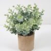 Artificial Plant 16*22CM GRASS IN PAPER POT GS-05521112 Potted Flowers&Plants YeahFlower is one of Chinese leading OEM manufacturers and exporters , supplying the silk flowers, wholesale artificial trees