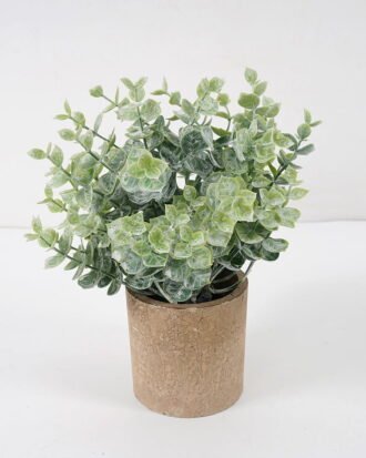 Artificial Plant 16*22CM GRASS IN PAPER POT GS-05521112 Potted Flowers&Plants YeahFlower is one of Chinese leading OEM manufacturers and exporters , supplying the silk flowers, wholesale artificial trees Artificial Plant 16*22CM GRASS IN PAPER POT GS-05521112 Potted Flowers&Plants YeahFlower is one of Chinese leading OEM manufacturers and exporters , supplying the silk flowers, wholesale artificial trees