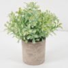 Artificial Plant GRASS IN PAPER POT GS-05521113_3 Artificial Plant 15*20CM GRASS IN PAPER POT GS-05521113 Potted Flowers&Plants YeahFlower is one of Chinese leading OEM manufacturers and exporters , supplying the silk flowers, wholesale artificial trees