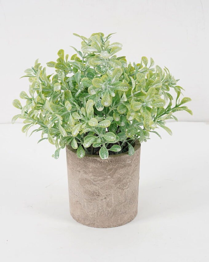 Artificial Plant GRASS IN PAPER POT GS-05521113_3 Artificial Plant 15*20CM GRASS IN PAPER POT GS-05521113 Potted Flowers&Plants YeahFlower is one of Chinese leading OEM manufacturers and exporters , supplying the silk flowers, wholesale artificial trees