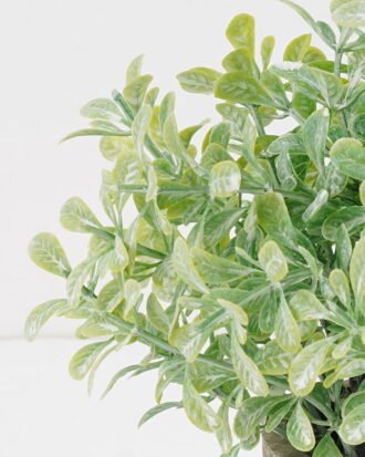 Artificial Plant 15*20CM GRASS IN PAPER POT GS-05521113 Potted Flowers&Plants YeahFlower is one of Chinese leading OEM manufacturers and exporters , supplying the silk flowers, wholesale artificial trees Artificial Plant 15*20CM GRASS IN PAPER POT GS-05521113 Potted Flowers&Plants YeahFlower is one of Chinese leading OEM manufacturers and exporters , supplying the silk flowers, wholesale artificial trees