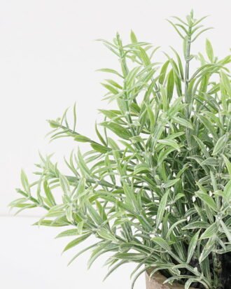 Artificial Plant 12*21CM GRASS IN PAPER POT GS-05521115 Potted Flowers&Plants YeahFlower is one of Chinese leading OEM manufacturers and exporters , supplying the silk flowers, wholesale artificial trees