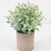 Artificial Plant 18*20CM GRASS IN PAPER POT GS-05521116 Potted Flowers&Plants YeahFlower is one of Chinese leading OEM manufacturers and exporters , supplying the silk flowers, wholesale artificial trees