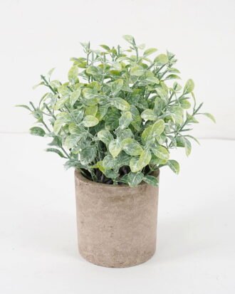 Artificial Plant 18*20CM GRASS IN PAPER POT GS-05521116 Potted Flowers&Plants YeahFlower is one of Chinese leading OEM manufacturers and exporters , supplying the silk flowers, wholesale artificial trees