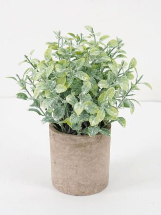 Artificial Plant 12*21CM GRASS IN PAPER POT GS-05521115 Potted Flowers&Plants 3,000+ sqm showroom with thousands of artificial flowers, plants & trees ready for global sourcing.