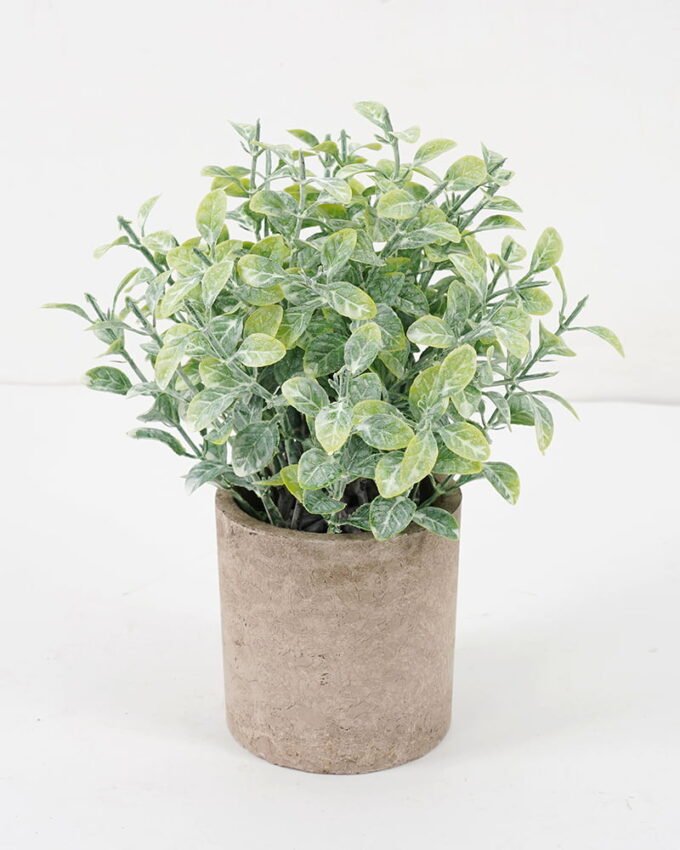 Artificial Plant 18*20CM GRASS IN PAPER POT GS-05521116 Potted Flowers&Plants YeahFlower is one of Chinese leading OEM manufacturers and exporters , supplying the silk flowers, wholesale artificial trees