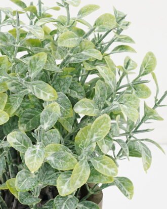 Artificial Plant 18*20CM GRASS IN PAPER POT GS-05521116 Potted Flowers&Plants YeahFlower is one of Chinese leading OEM manufacturers and exporters , supplying the silk flowers, wholesale artificial trees