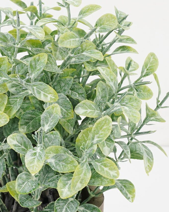 Artificial Plant 18*20CM GRASS IN PAPER POT GS-05521116 Potted Flowers&Plants YeahFlower is one of Chinese leading OEM manufacturers and exporters , supplying the silk flowers, wholesale artificial trees